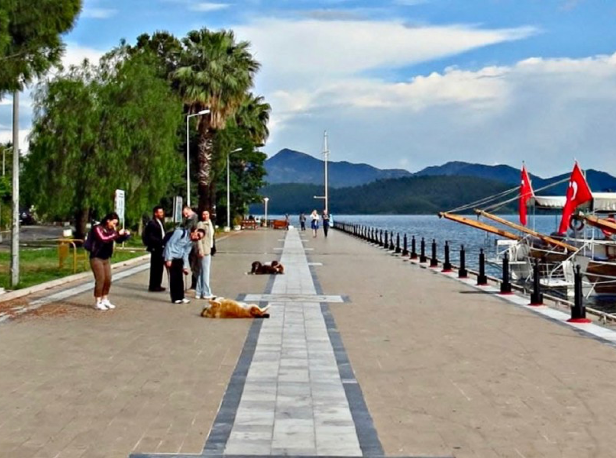Über Köyceğiz. Köyceğiz Villa Urlaub