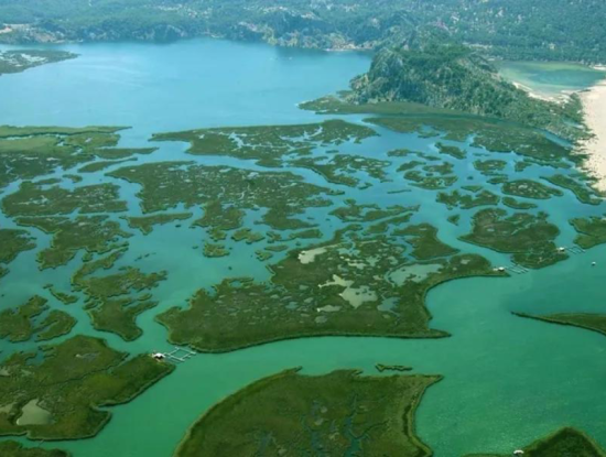 Dalyan Iztuzu Beach. Köyceğiz Villa Rental Holiday