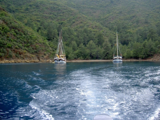 Ekincik Activities