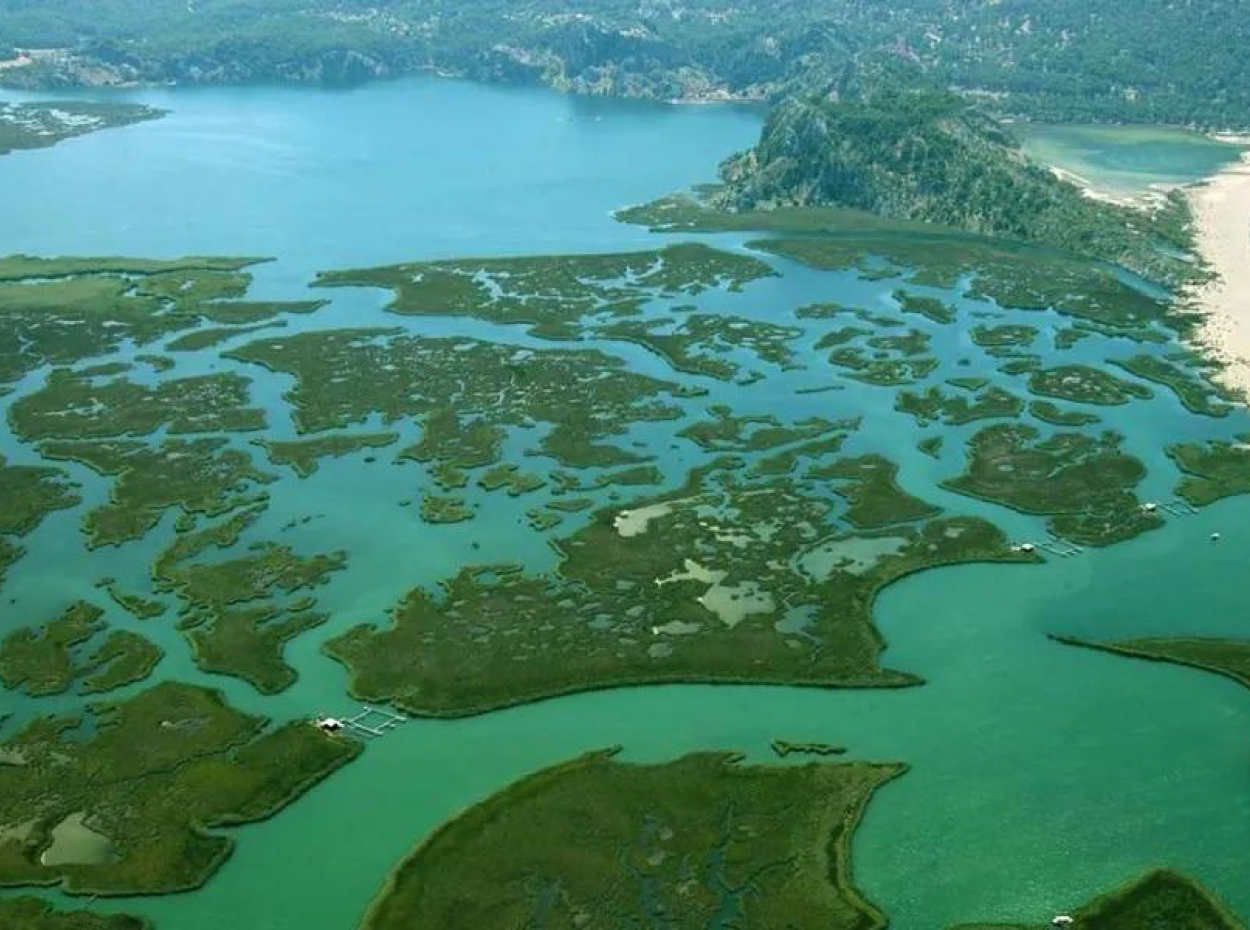 Dalyan İztuzu Plajı. Köyceğiz Villa Kiralama Tatili